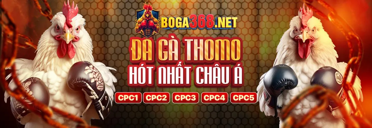 Hình ảnh chính VNBET Login người chơi trên điện thoại