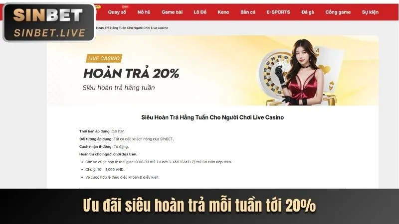 Giải đấu thể thao vnbet login